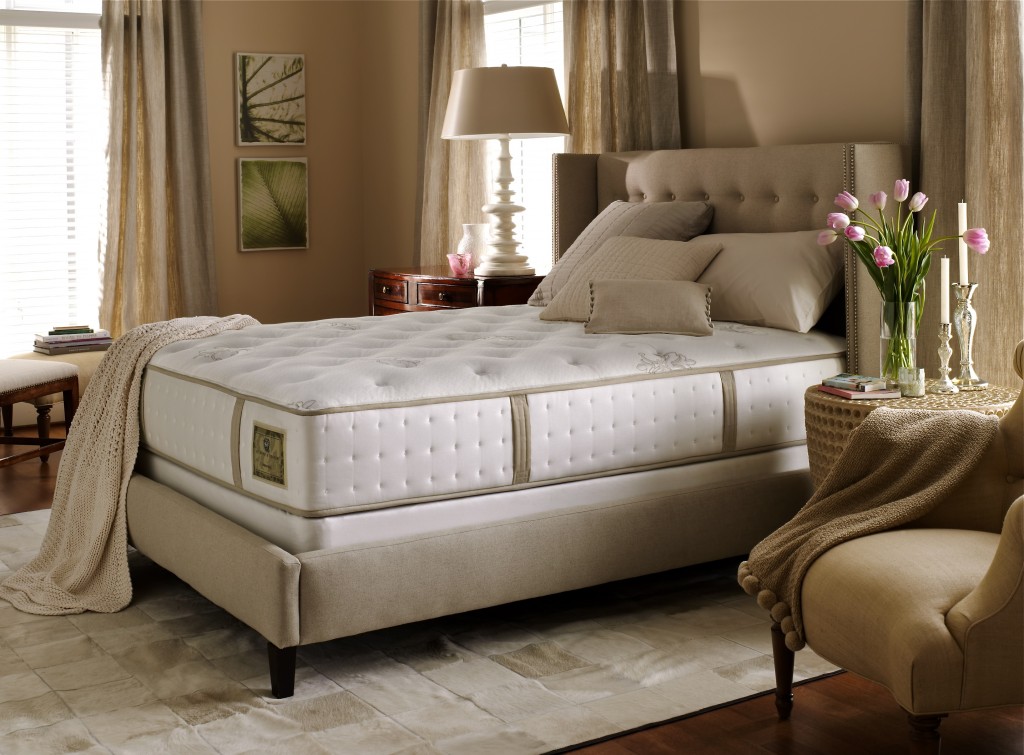 Simple Ways to Clean Bed Mattress At Home