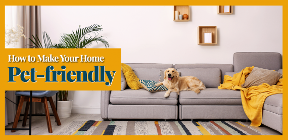 How to Make Your Home Pet-friendly